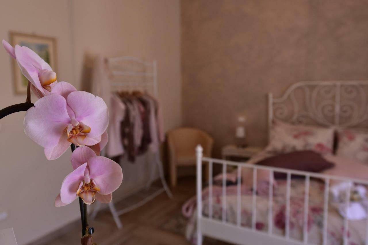 Casa Nina Bed and Breakfast Toirano Eksteriør billede
